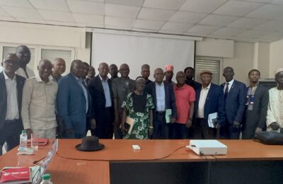 Cuivre, nickel, cobalt : la Guinée veut structurer sa stratégie sur les minerais critiques